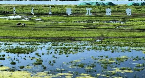 その他 2 Dream in Hostel