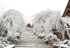 その他 4 Scandina Resort Hotel