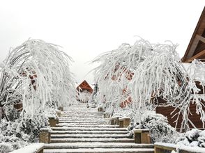 その他 4 Scandina Resort Hotel