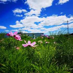 Hotel Interior/Public Areas 1 JIU JU HOMESTAR, 雙橋区 ホテル