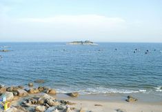 기타 4 Whale Island Bed and Breakfast