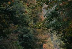 Khác 5 Wu Shan Boutique bed and breakfast