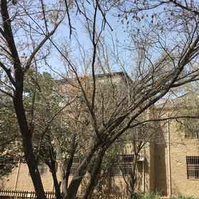 Hotel Exterior1Dunhuang Wuqi Homestay,敦煌国际饭店-停车场飯店