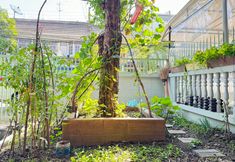 Lain-lain 2 Qing's Warm House