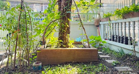 Lain-lain 2 Qing's Warm House