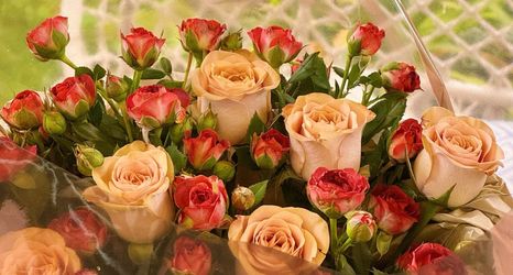 Others 2 Xitian Xiaozhu Homestay