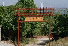 其他 Ridge on the yard