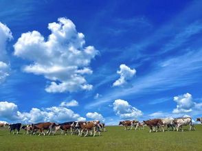 その他 4 Dream in Hostel