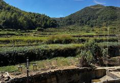 Others 2 Zhuang YuanJu Homestay