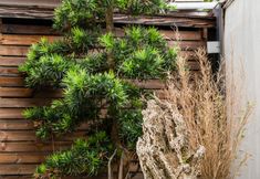 อื่นๆ 2 Tianzhai