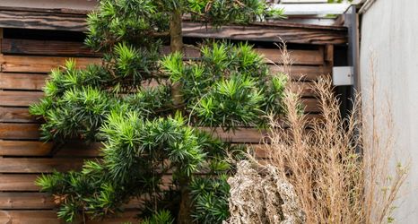 อื่นๆ 2 Tianzhai