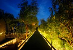 其他 2 First Sight Dunhuang (Mingsha Mountain & Crescent Moon Spring Branch)