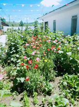 Others 4 Youyou Farm Stay