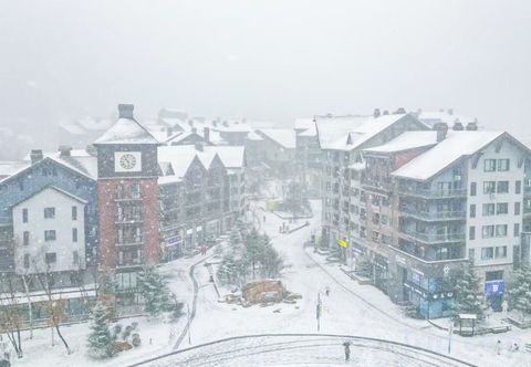 Others Spirit of Snow