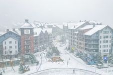 Others Spirit of Snow