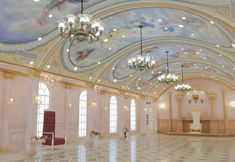 기타 5 Vcfani Princess