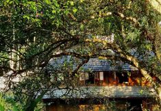 อื่นๆ 3 Jingmaishan Shishi Homestay