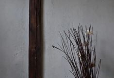 Others 5 Guesthouse Rikyu