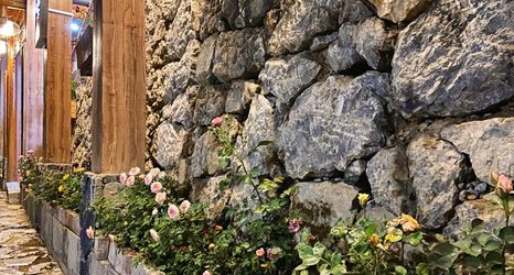 Others 2 Guangnan Wangjianglou Homestay (Bamei World Taoyuan Scenic Area Branch)