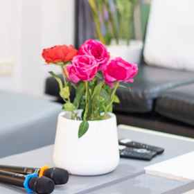 Others1November T Pool Villa 1, 4Beds Thai- Bali Jomtien Beach,曼达林火锅&点心 (芭堤雅分店)飯店