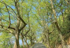 Khác 4 Wu Shan Boutique bed and breakfast