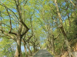 Khác 4 Wu Shan Boutique bed and breakfast