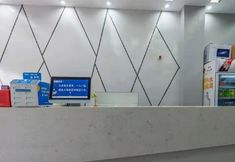 Others 7 Dahuaishu Hotel (Luoyang Longmen high-speed railway station Hekeda)