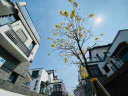 Longrui Hotel (Yingde Aoyuan Chocolate Kingdom), SGD 105