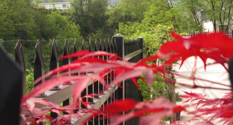 其他 2 Grottoes Homestay