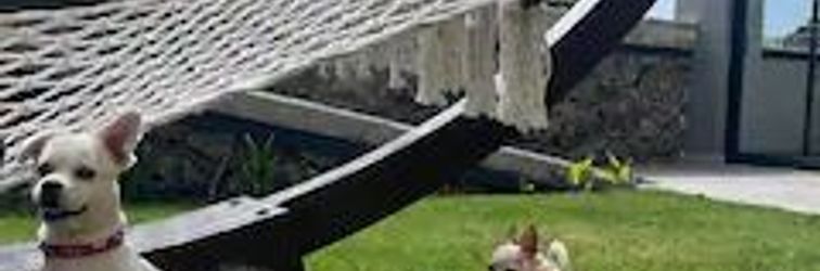 기타 ULU PANORAMA RESİDENCE