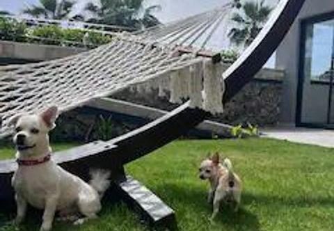 อื่นๆ ULU PANORAMA RESİDENCE