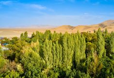 其他 3 Dunhuang Jiuju Inn