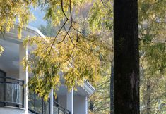 Khác 7 Wu Shan Boutique bed and breakfast