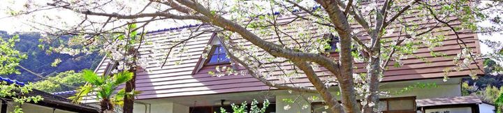 기타 4 Whale Cuisine! Four Seasons Lodging Minshuku Jinza