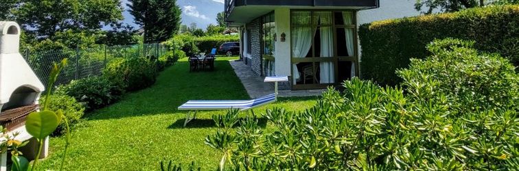 其他 Gelsomino (Cco115)