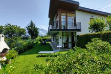 其他 Gelsomino (Cco115)