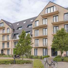 Logo 1 Goldsands II 402 Top Floor with Parking, Statue of Einstein Hotels