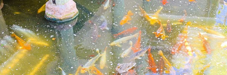 其他 Stunning Ocean View and Luxurious Amenities - Exquisite Coastal Getaway