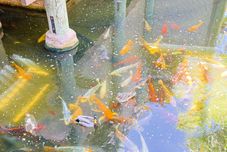 其他 Stunning Ocean View and Luxurious Amenities - Exquisite Coastal Getaway