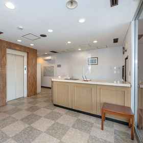 Hotel Interior/Public Areas 1 太阳宫酒店, 庄原市 酒店