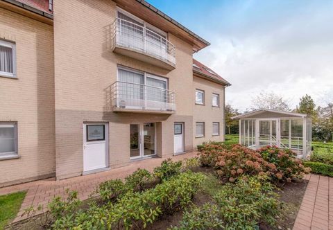 Others Bowie with Shared Pool