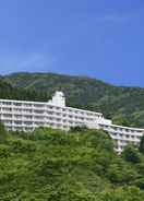 Hotel Exterior Misty Inn Sengokubara