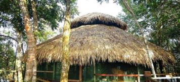 อื่นๆ 5 Juma Amazon Lodge