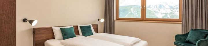 Others 4 Panorama Dachstein