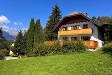 其他 The Green Studio