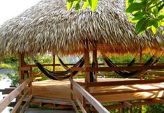 อื่นๆ 4 Juma Amazon Lodge