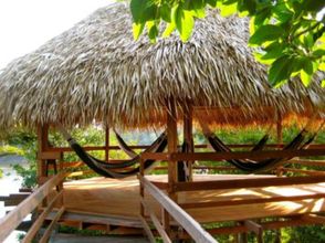 其他 4 Juma Amazon Lodge