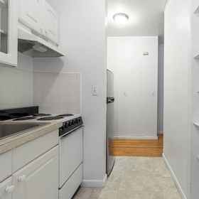 Others1Cozy Haven - Charming Studio, Queen-size, Convertible Sofa,史泰登岛公寓