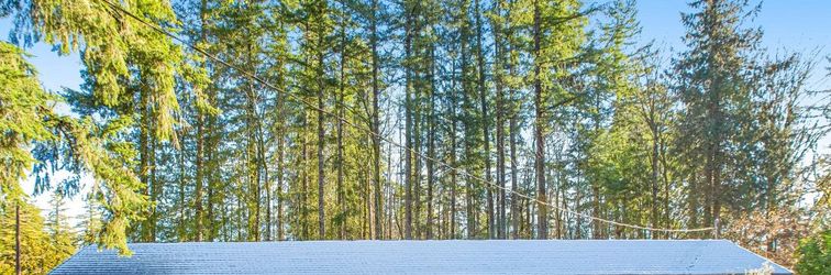 其他 Dog-friendly studio with fast WiFi & great location near hiking & forest