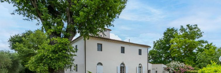 Others Tipologia Trilo